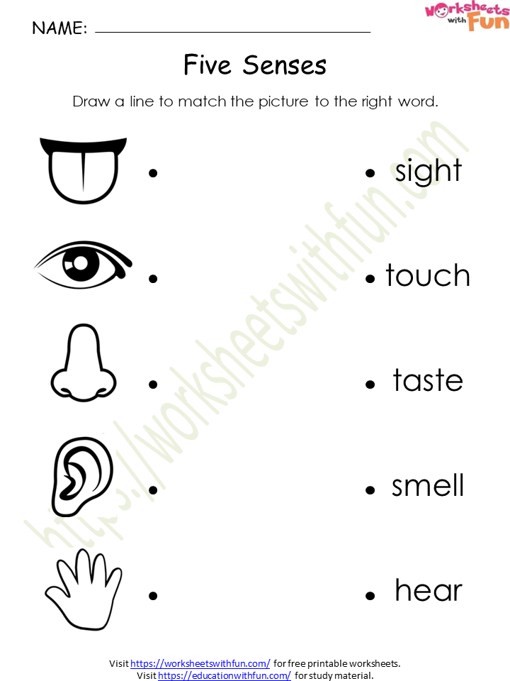 course-environmental-science-class-1-topic-five-senses-worksheets